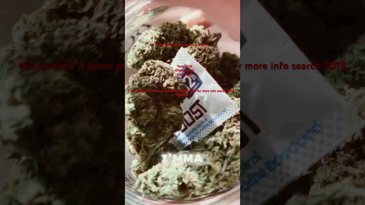 Jkdistro blueberry punch big nugz oz!! #zaza #420