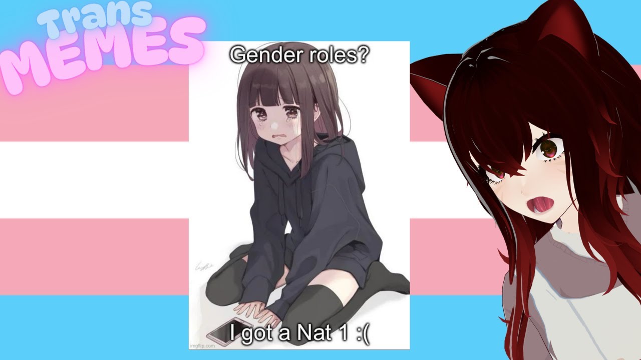 “I hate failing my gender rolls!" | Trans MEMES | Trans VTUBER
