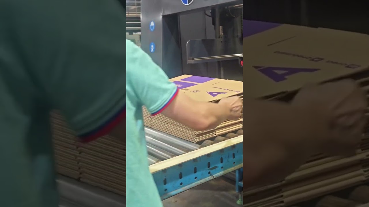 High speed flexo printer inline folder gluer machine #boxmachine #machine #cartonmachine #carton