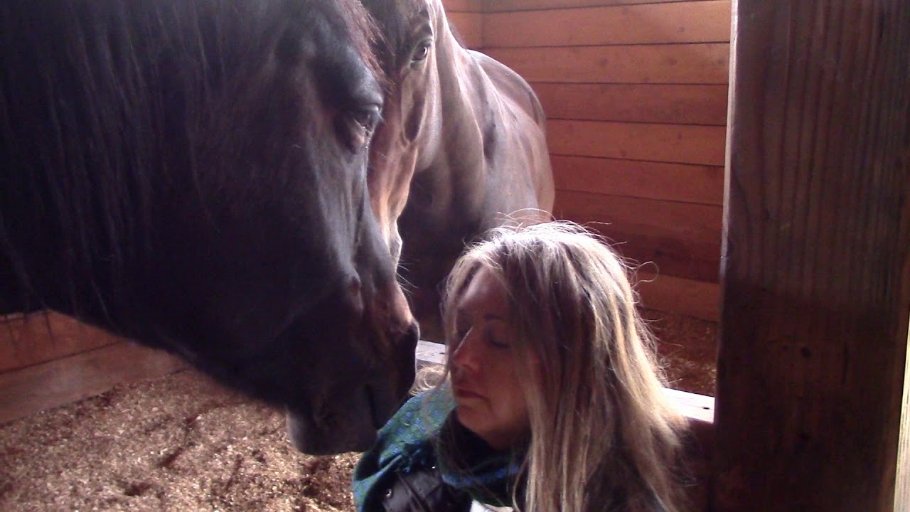 Heart Connection Through Horses