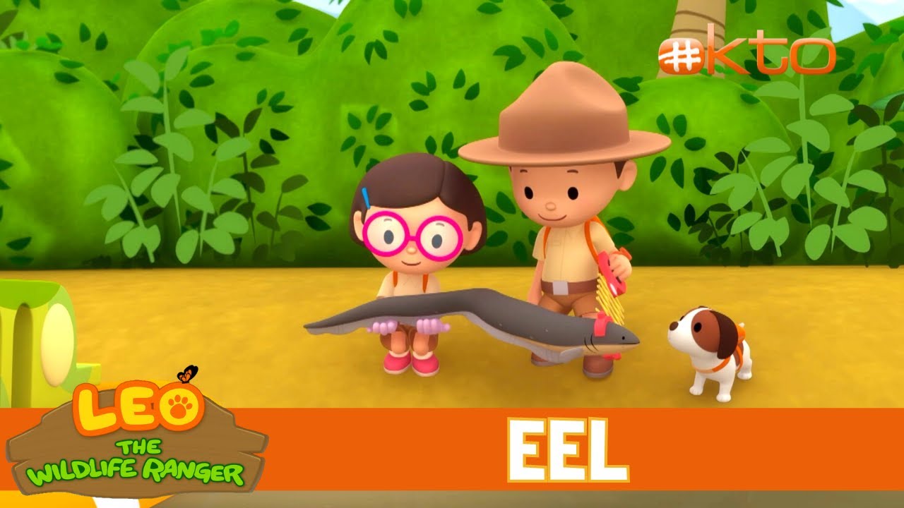 Electric Eel Shocks A Snake To Save Leo! |Leo the Wildlife Ranger|Animals for Kids | @Mediacorp okto