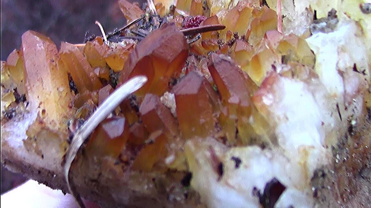 Found Quartz Crystals While Prospecting For Pegmatite - Possible Pegmatite Quartz pocket