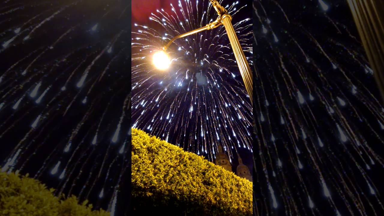 San José Sanchez del Río, celebración por su canonización
