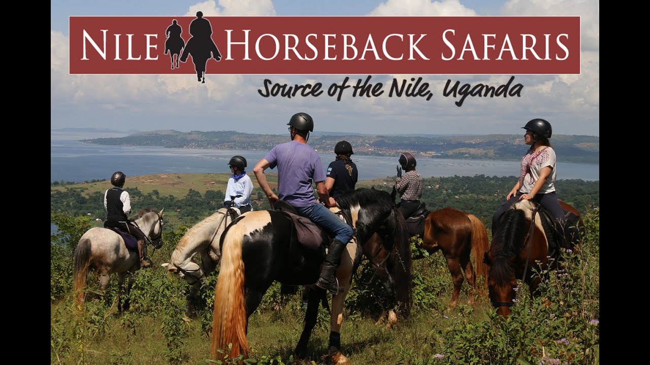 Horse Riding Safari in Jinja Uganda, around Source Of The Nile, Lake Victoria and Mabira Forest.