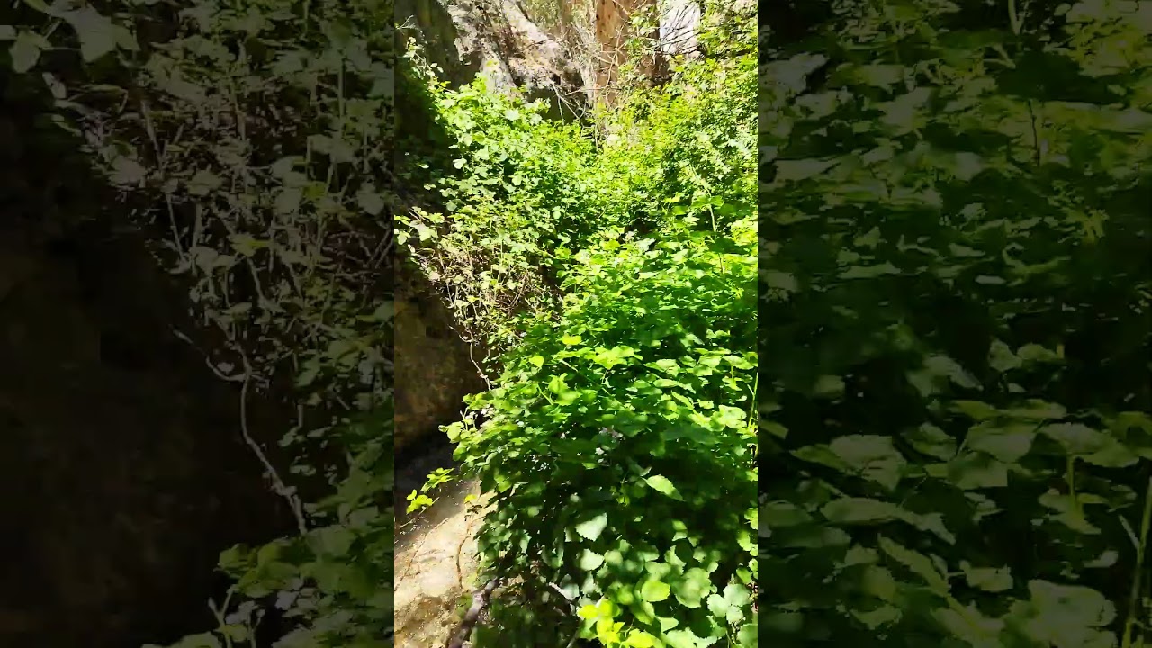 The beautiful nature of the four seasons of our village   