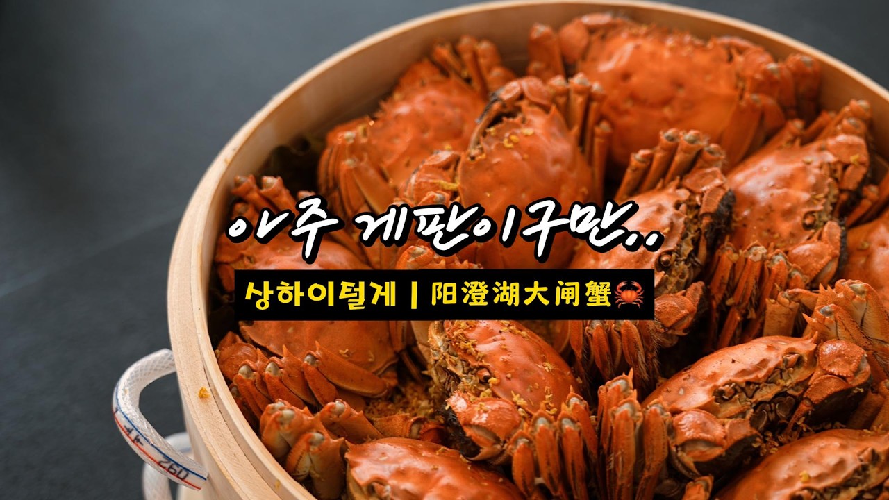 중국인들 환장하는 상하이털게ㅣ大闸蟹🦀🦀