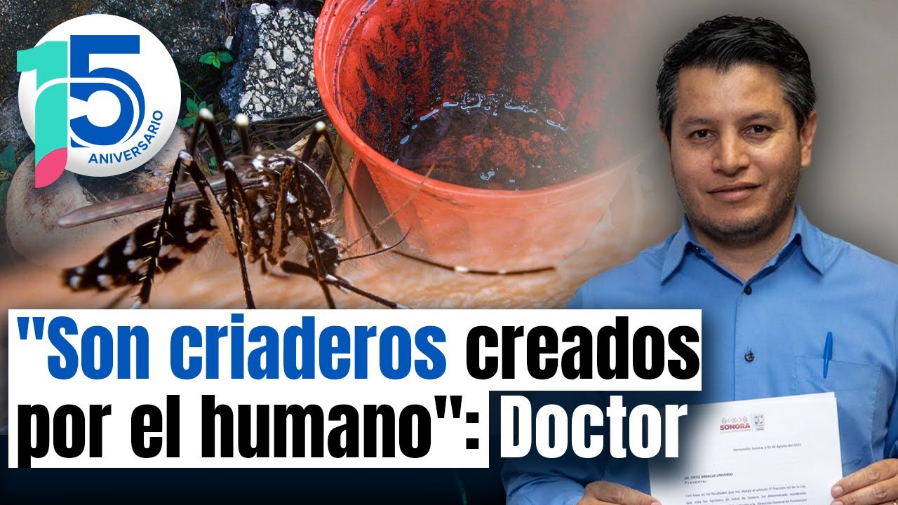 Para disminuir dengue en Sonora, 75% es responsabilidad de ciudadanos; sí fumigamos, afirma Salud