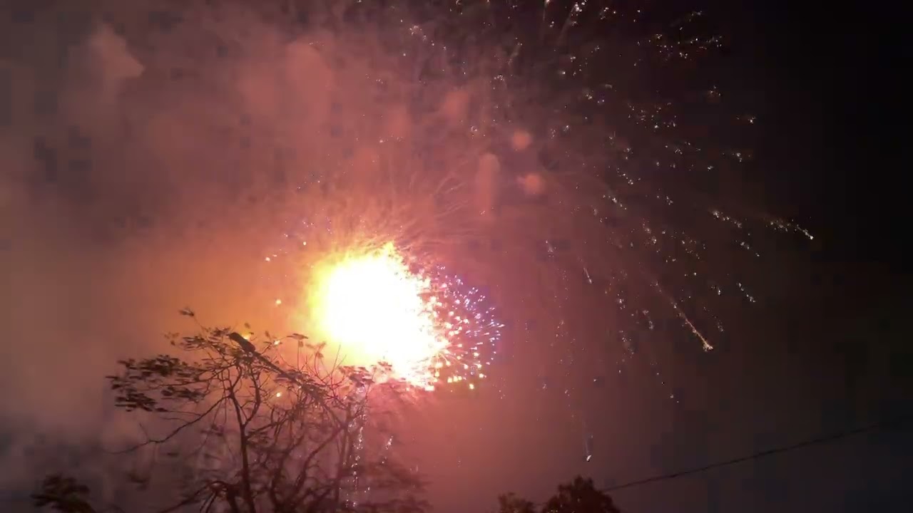 Happy New Year 