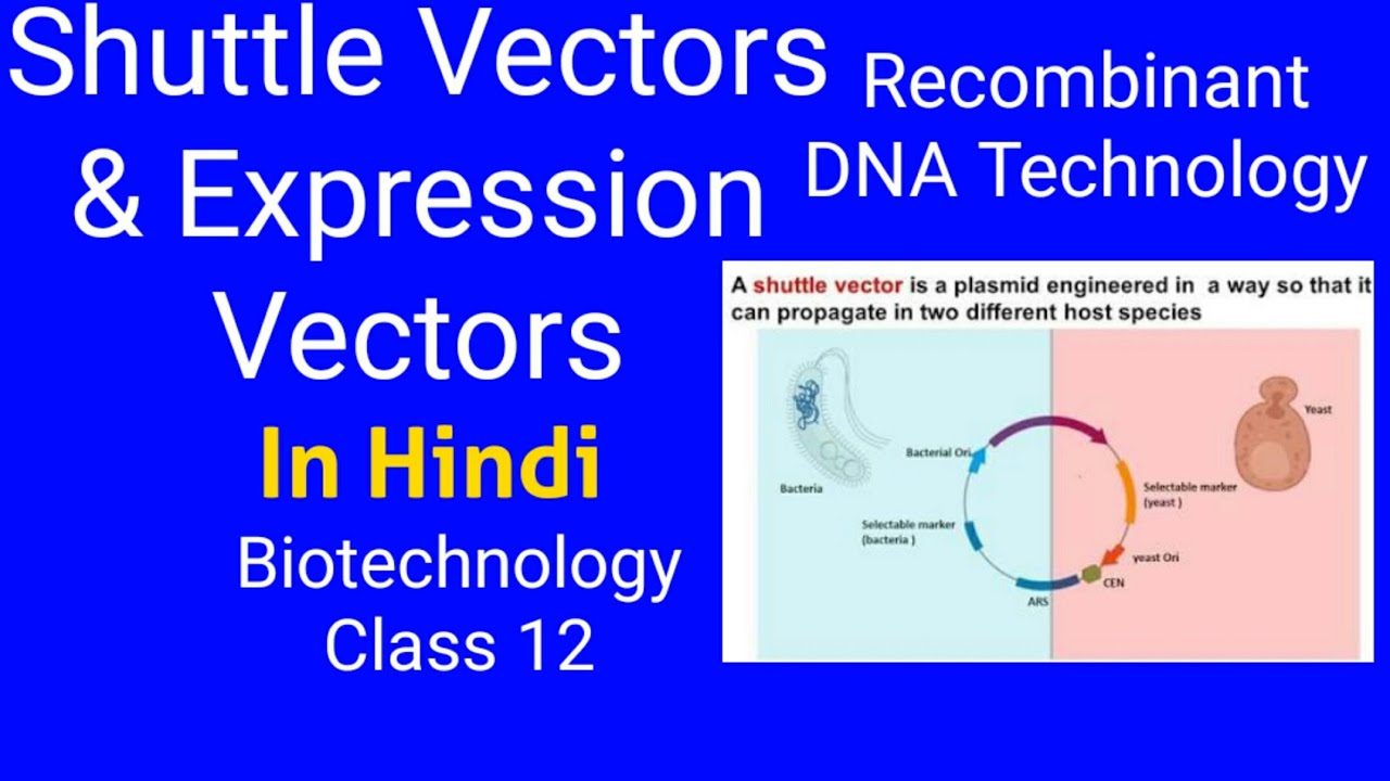 SHUTTLE VECTORS & EXPRESSION VECTORS (Hindi): Biotechnology: Tools in R- DNA technology.class 12