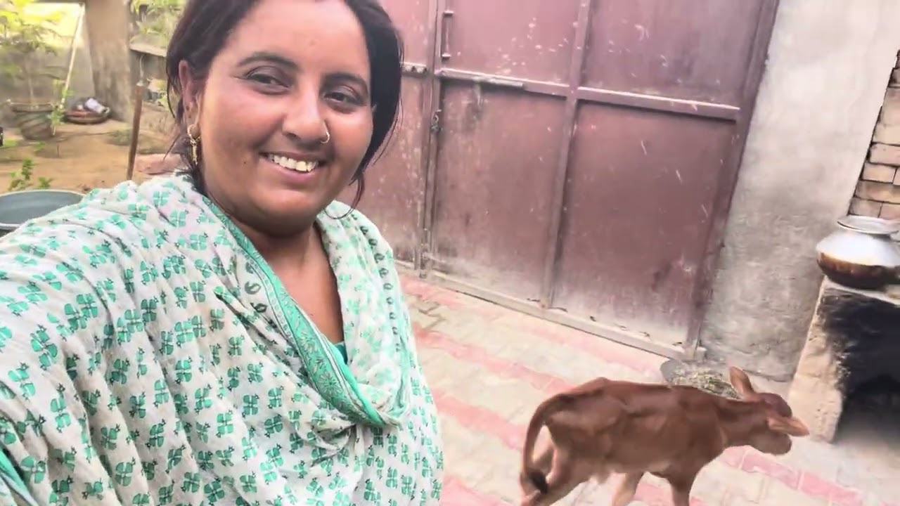 Ajj Laddi da paper 🫢//chek kro full //vlog gurmeet kour 48