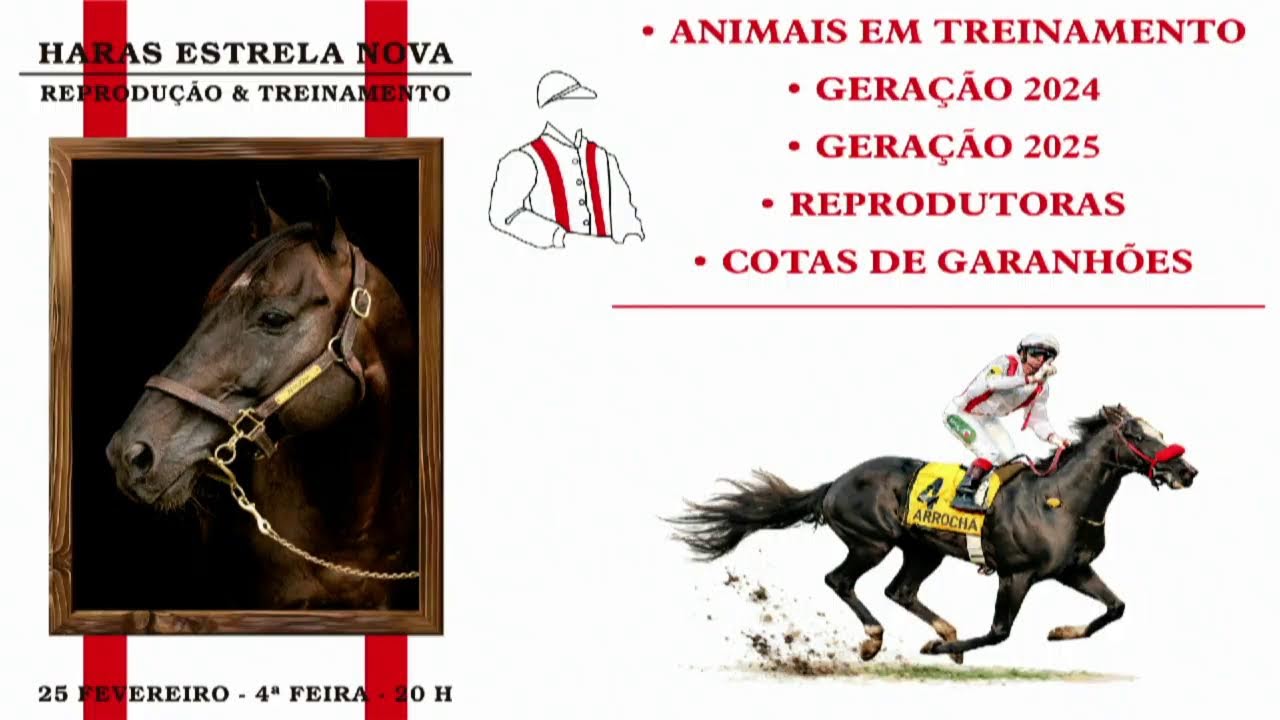 Transmissão  Jockey Club SP -   12/02/2026 - LEILÃO APPS