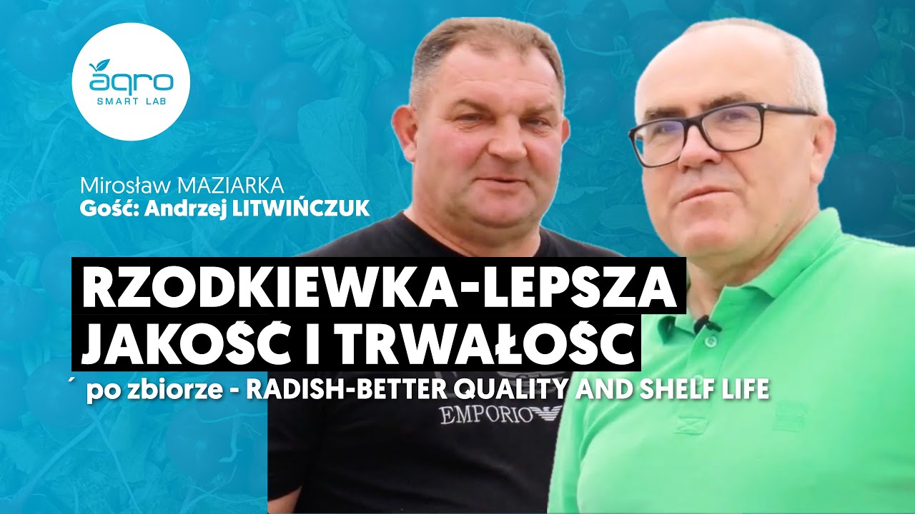 Rzodkiewka - Lepsza Jakość I Trwałość Po Zbiorze / Radish - Better Quality And Shelf Life