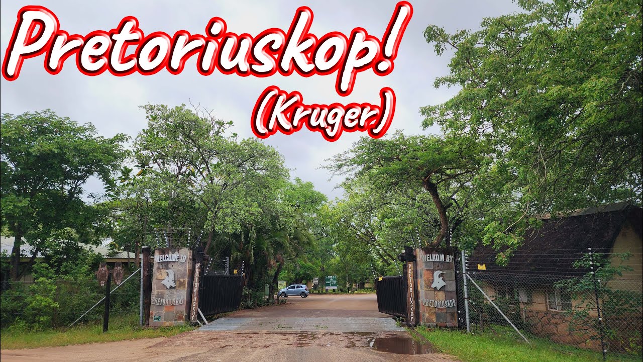 Pretoriuskop Rest Camp! Ep 439