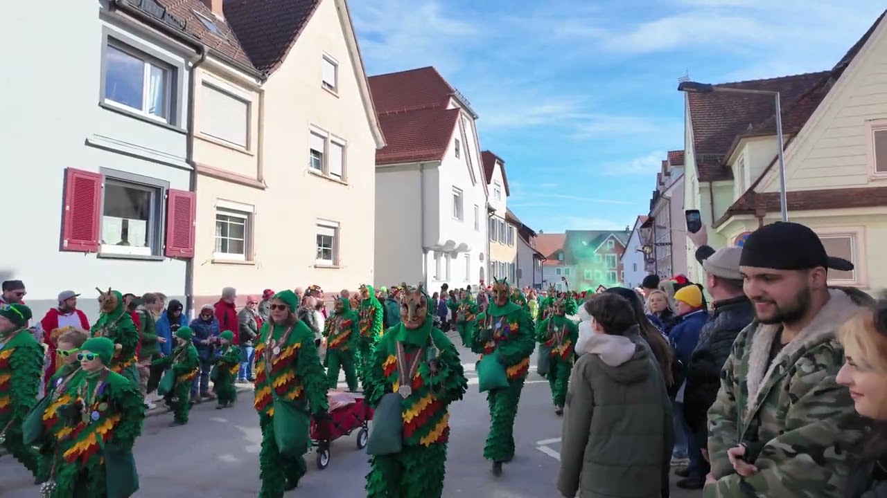 Der große Umzug Donaueschingen