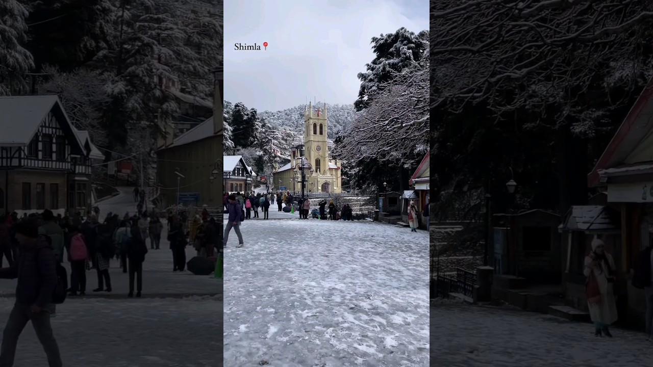 Shimla Snowfall Today 😍🌨️