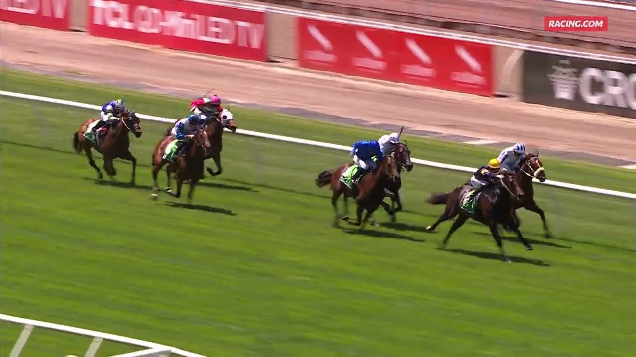 VRC Summer Fun Race Day&nbsp;| Race 1 | TAB We're On&nbsp; - Big Sky