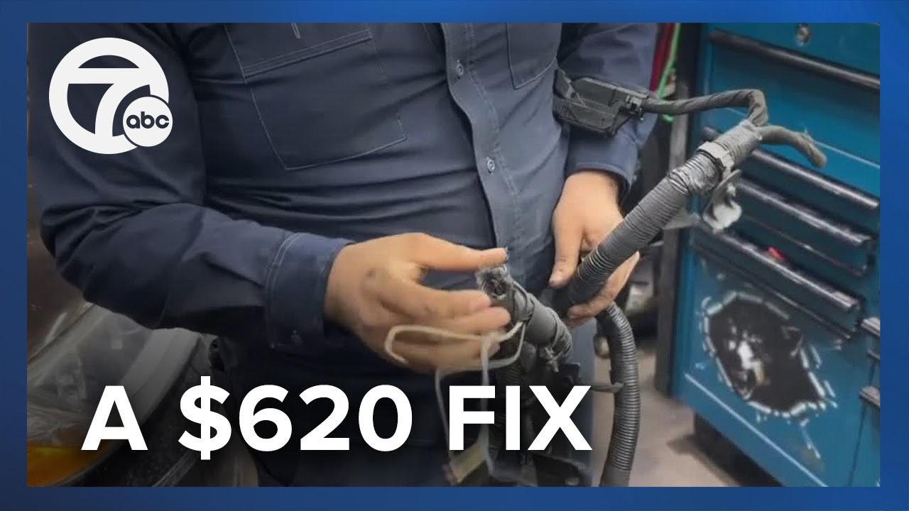 Rats! Metro Detroiters spending hundreds after rodents chewed through car wiring