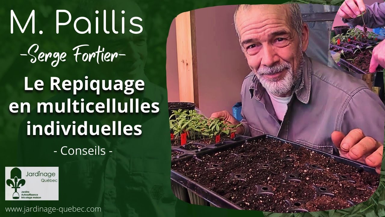 REPIQUAGE EN MULTICELLULES INDIVIDUELLES - CONSEILS DE SERGE FORTIER