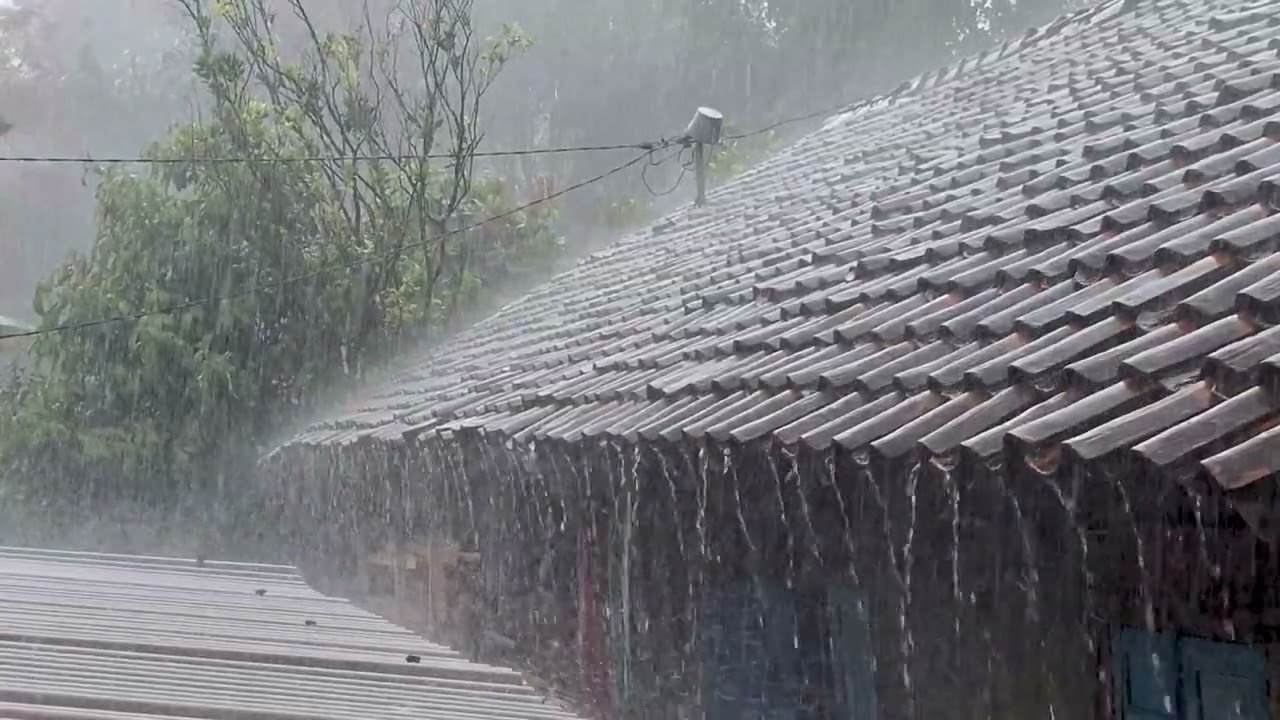 Heavy Rain and Thunder on Rural House Roof ⛈️⚡ Natural Sounds for Sleep & Relaxation