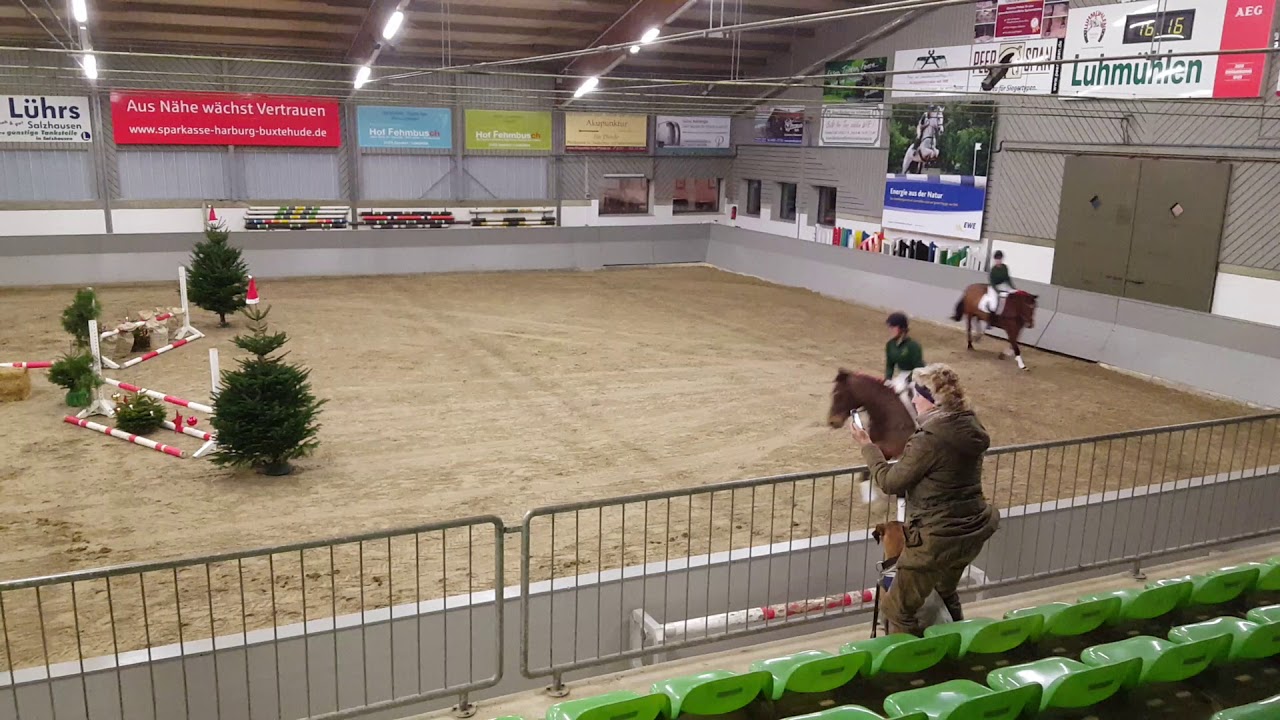 Springquadrille Weihnachten 2017