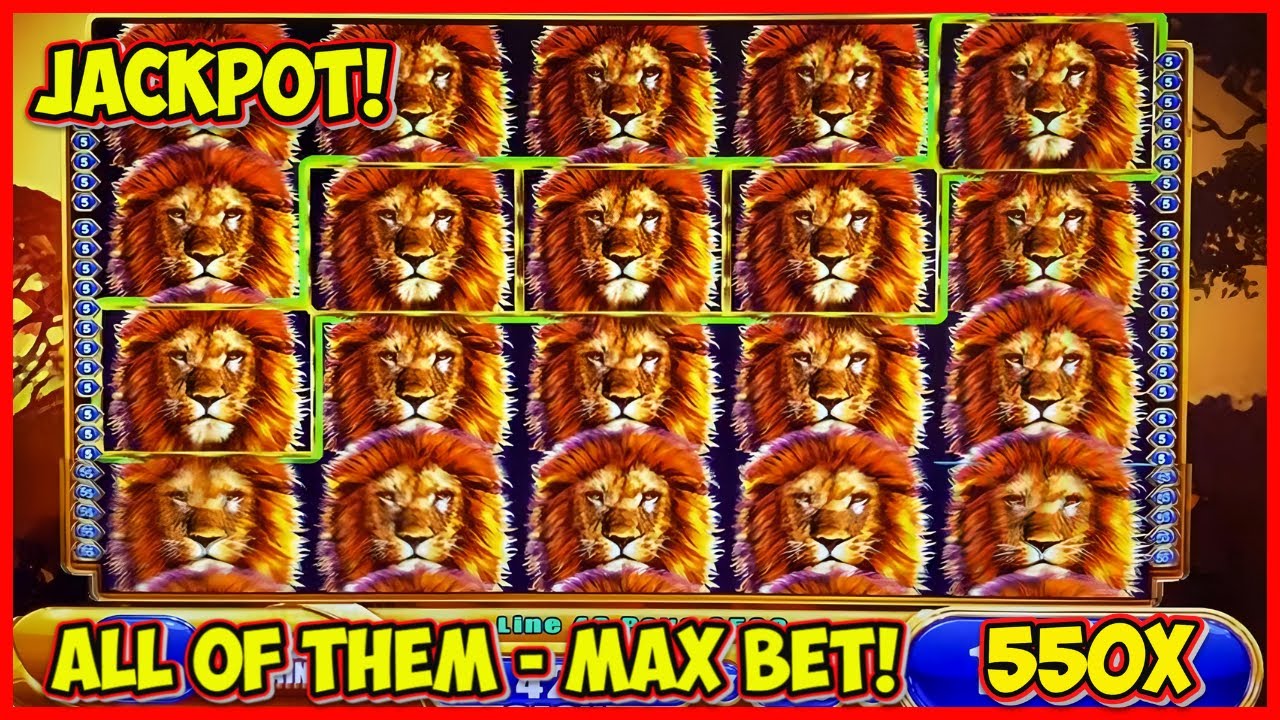 ★ MASSIVE JACKPOT HANDPAY ★ on ★ King of Africa! ★ HUGE WIN on Classic WMS Slot Machine! Over 550X!