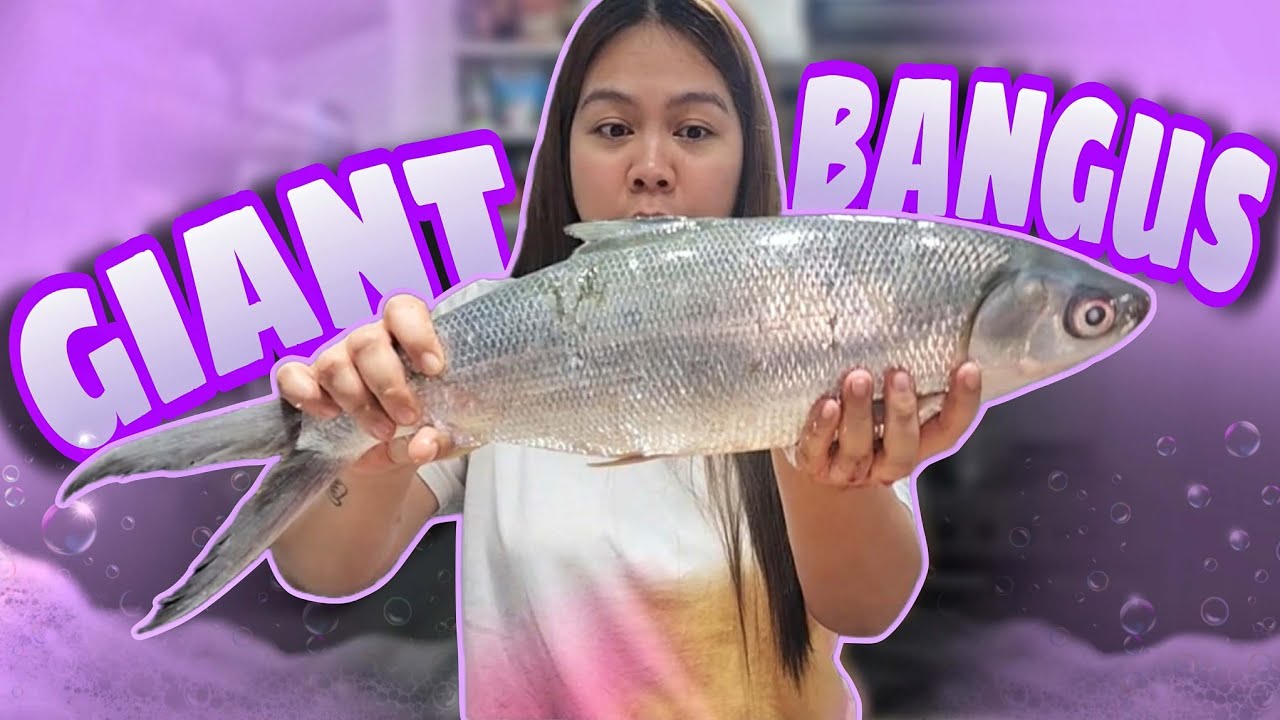 GIANT BANGUS from Team Harabas