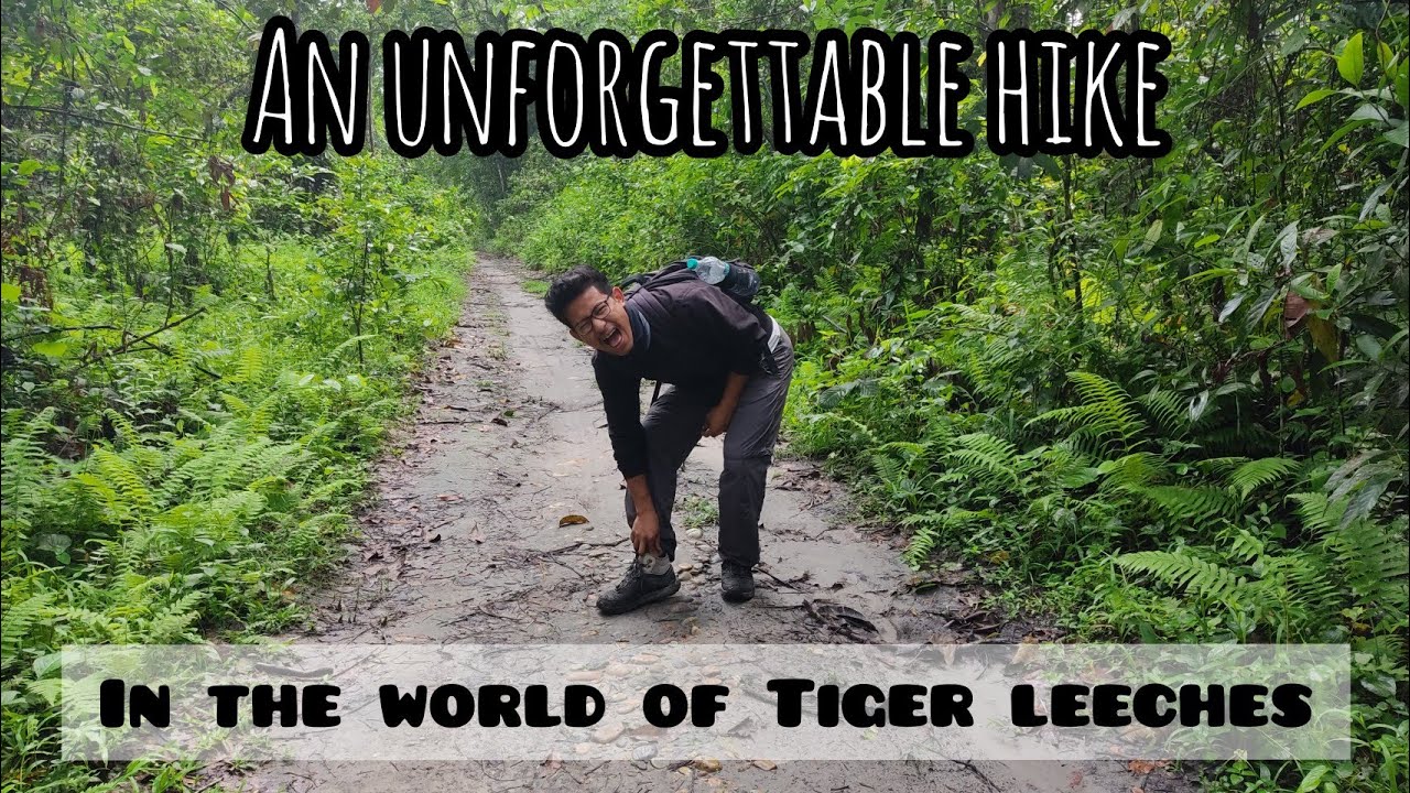 Hiking in Poba Reserve Forest ||Leeches found everywhere || 3 Mile Ghat, Jonai (Dhemaji District)
