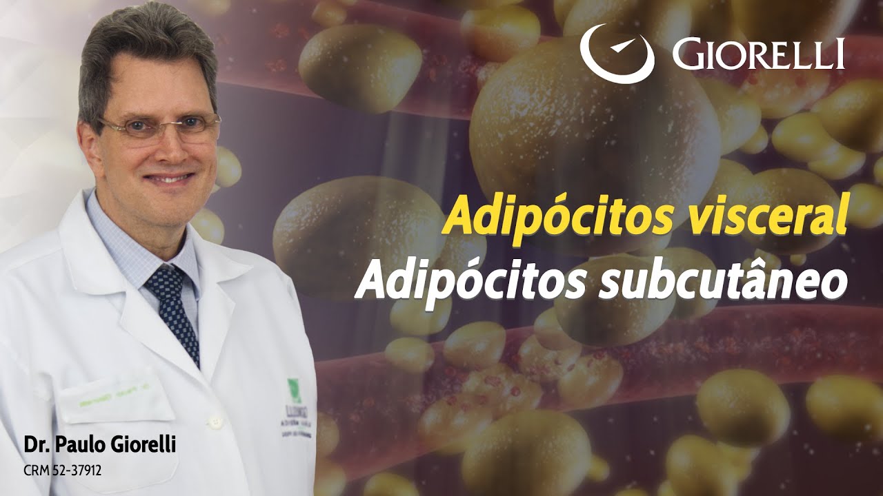Adip&oacute;citos visceral X adip&oacute;citos subcut&acirc;neo