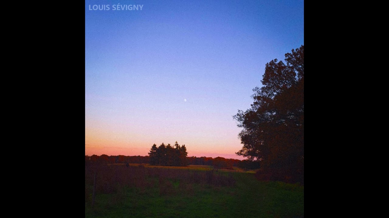 Louis Sévigny - You Don't Understand Me