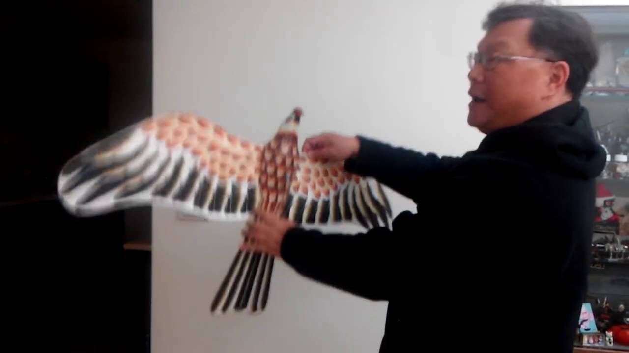 How to adjust a left turn eagle kite