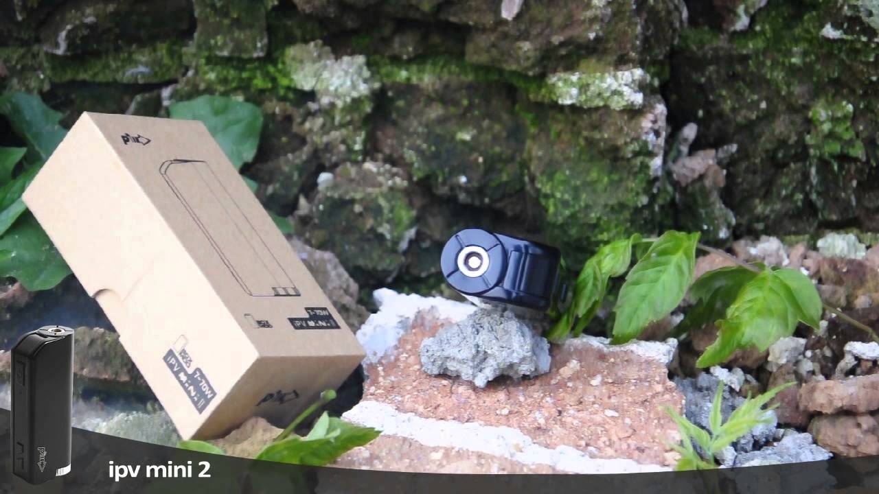 IPV MINI 2 (Краткий обзор)