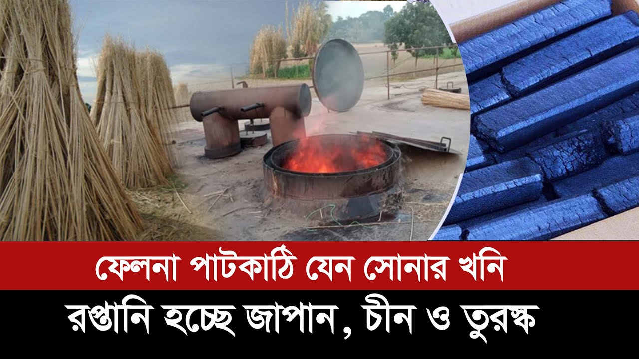 ফেলনা পাটকাঠি যেন সোনার খনি !! সম্ভাবনা হাজার কোটি টাকার রপ্তানি ! Jute Stick Charcoal of Bangladesh