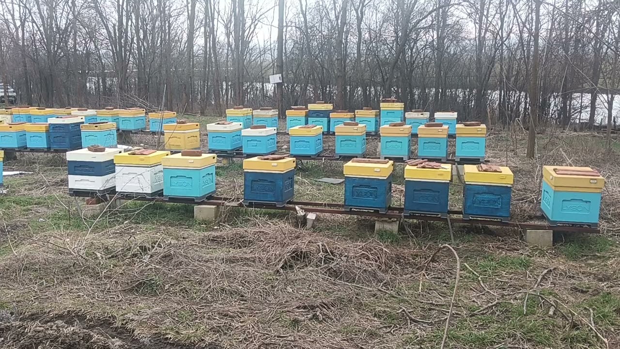Apicultura NOUĂ vs Veche