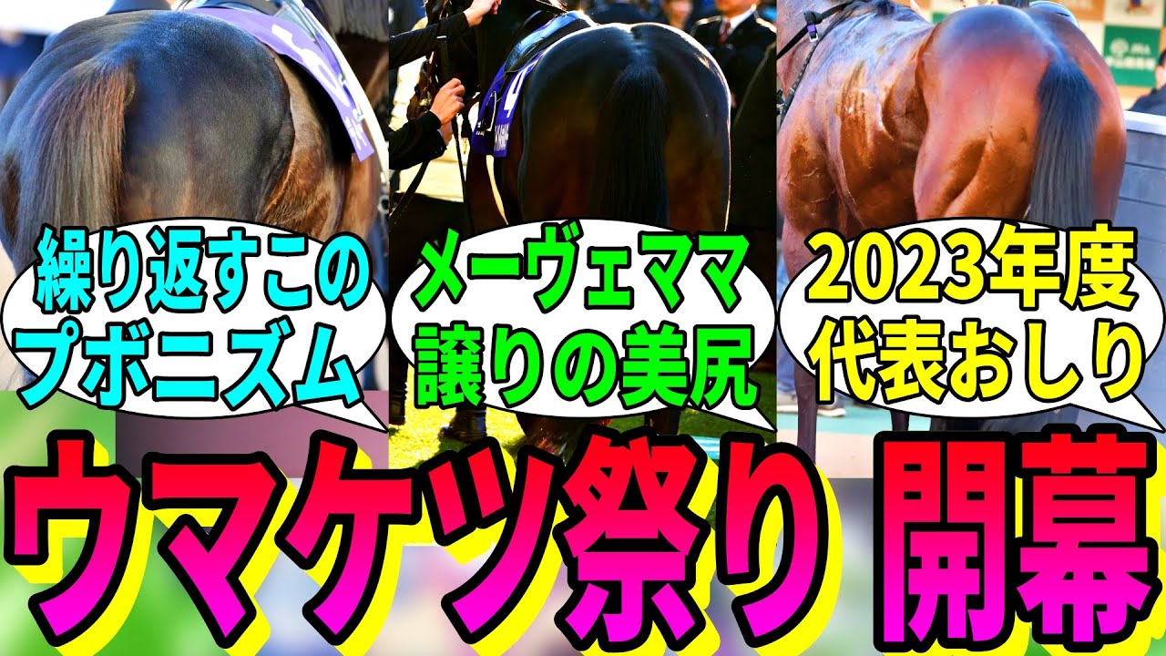 【競馬の反応集】「競走馬プリケツステークス開幕!」に対する視聴者の反応集