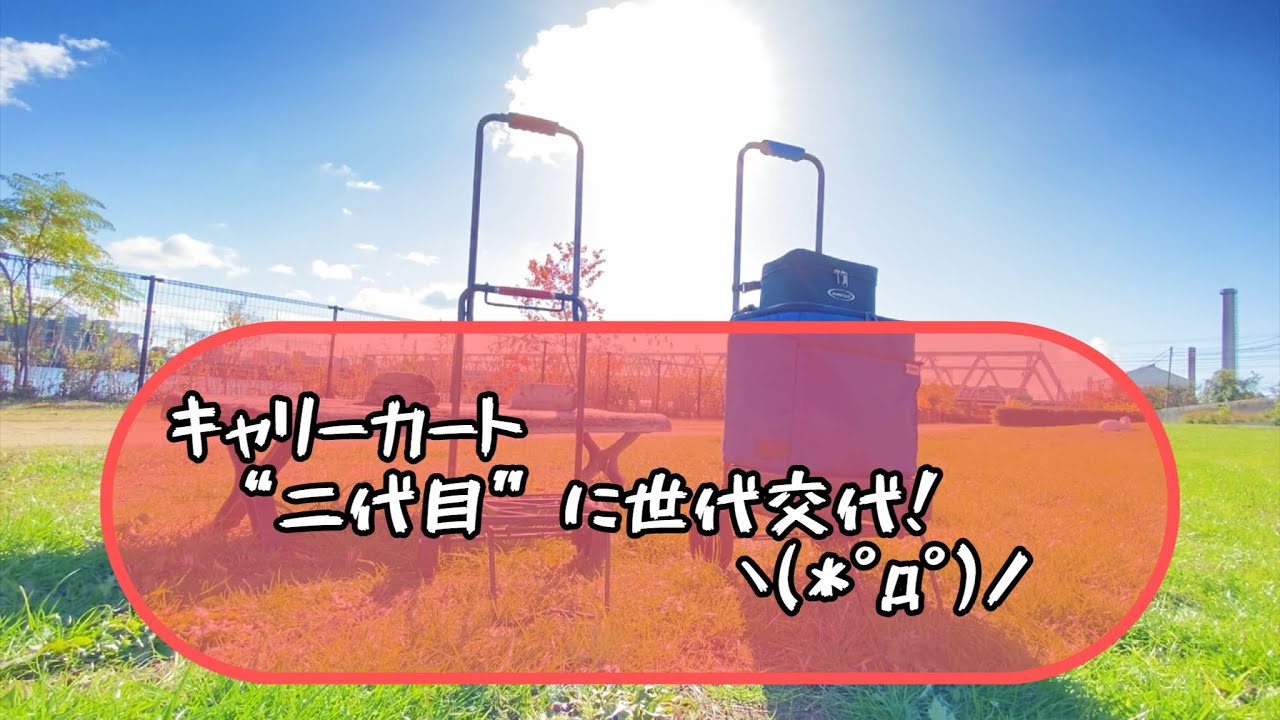 キャリーカート、二代目に世代交代！ヽ(*°д°)ノ