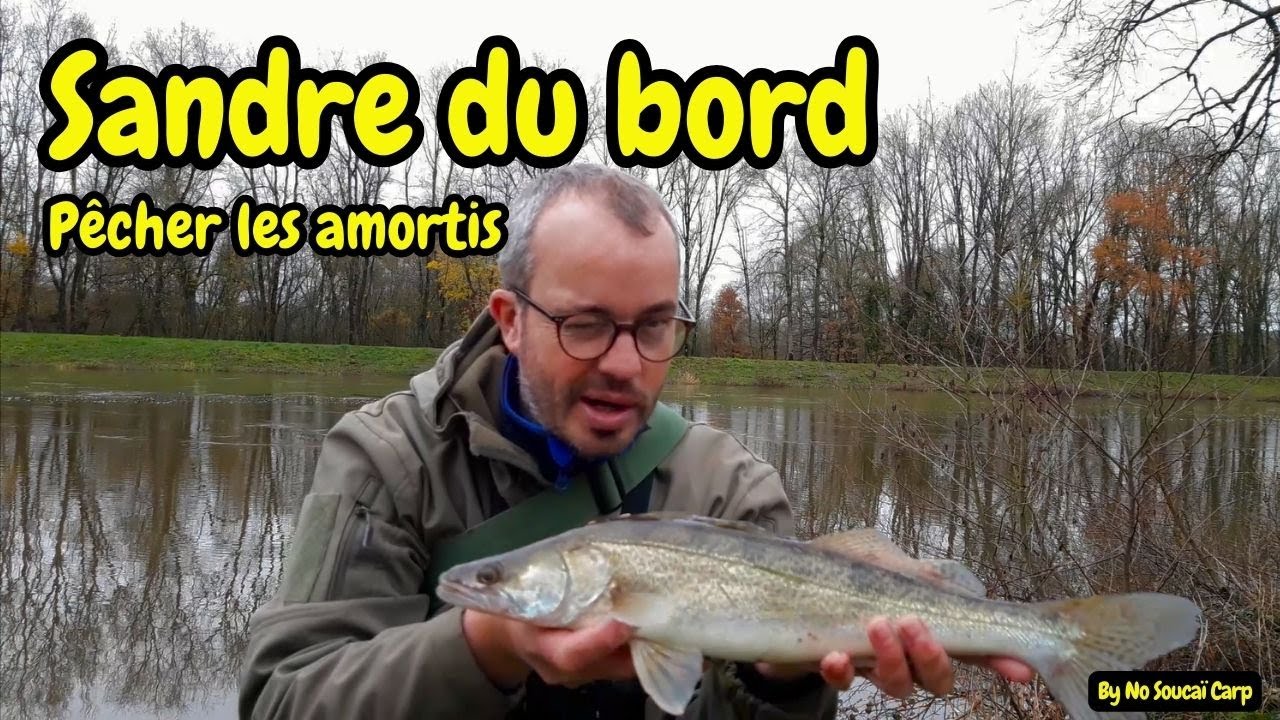 Sandre du bord, pêcher les amortis.