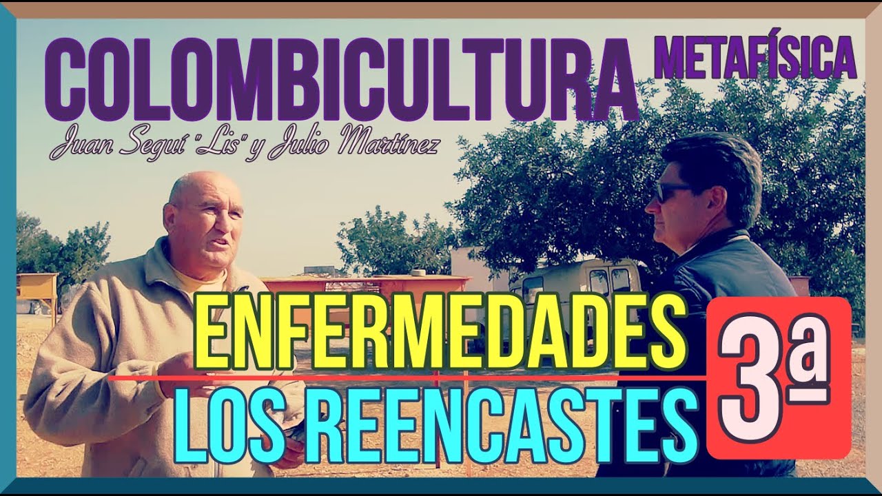 Los Reencastes👨‍👩‍👧‍👦 Tabla de Felch.🎲Enfermedades y Consejos🤒 Juan Seguí 