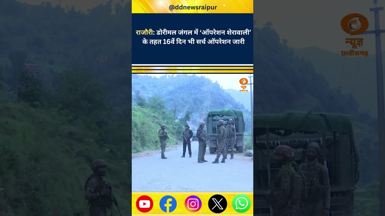 Operation Sherawali: 16th Day Search Operation Continues in Dorimal Forest | J&K Security Forces