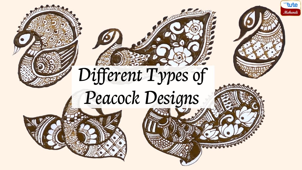 Different types of Peacock Designs for Beginners Basics of Mehndi Designs Tutorials Letstute Mehndi