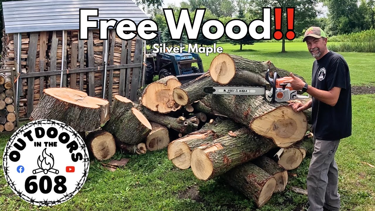 Cutting Free Tree Service Wood With Stihl MS 400 C-M‼️