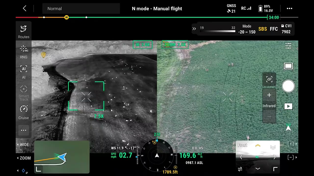 Over 150 deer in 1 field with Dji Matrice 4T