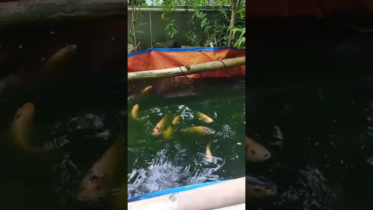 sambil nunggu adzan magrib