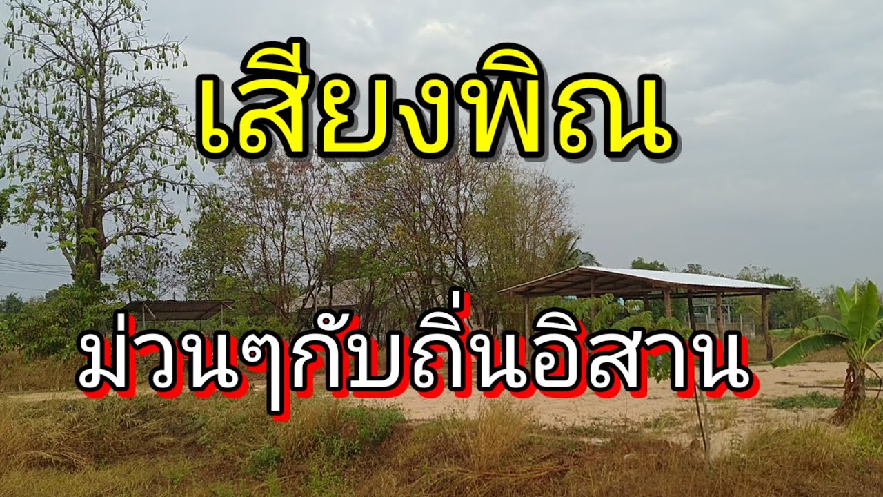 เสียงพิณ ม่วนๆกับถิ่นอิสาน