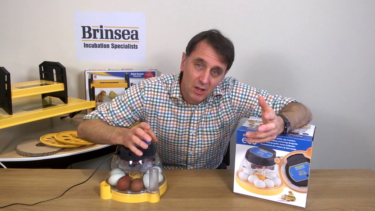 Инкубатор для яиц Brinsea Mini II Eco