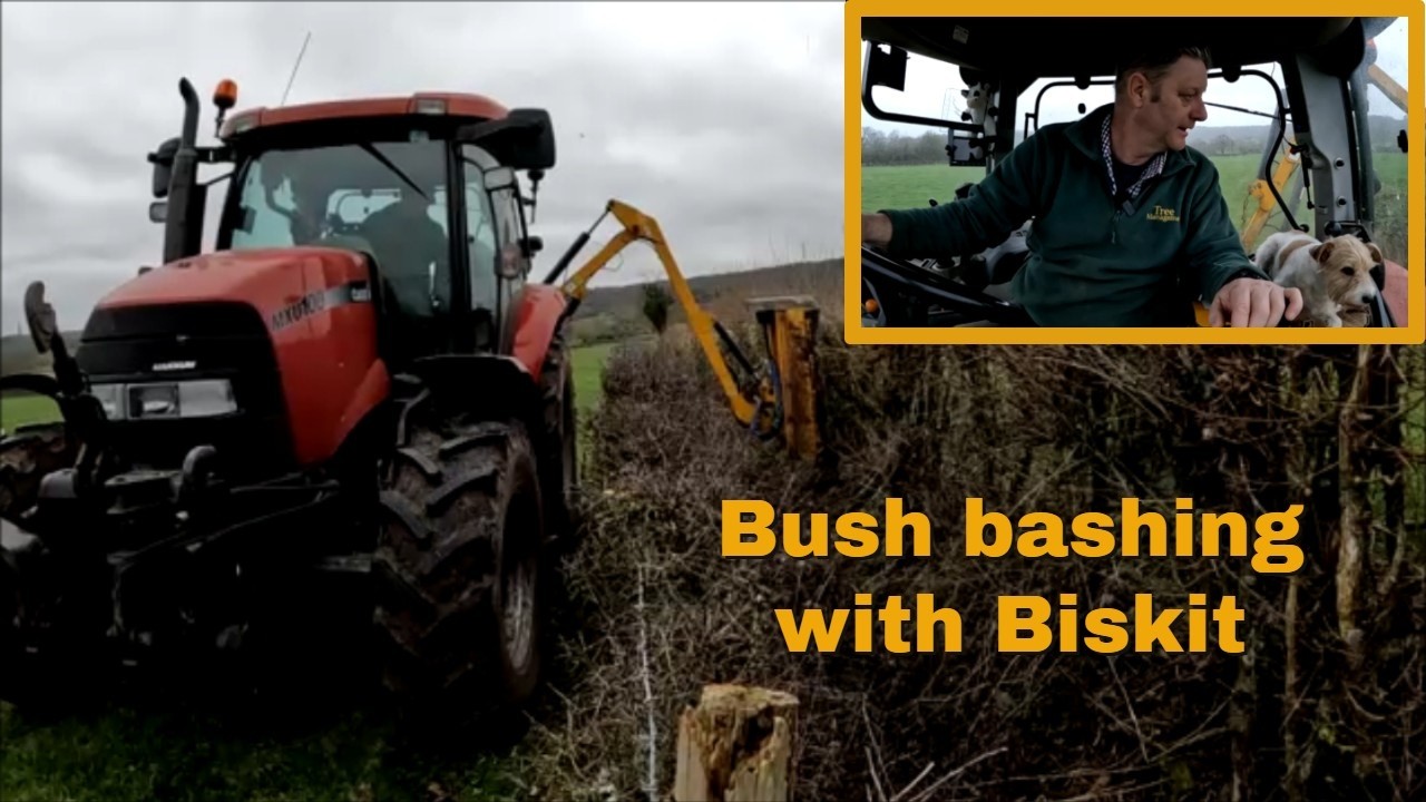 18/02/26 pm  Bush bashing with Biskit.