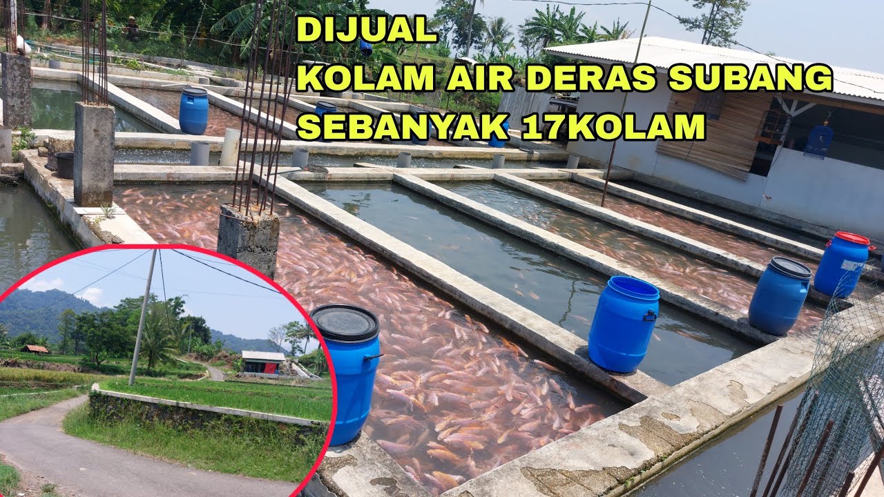 DIJUAL KOLAM AIR DERAS SUBANG SEBANYAK 17KOLAM
