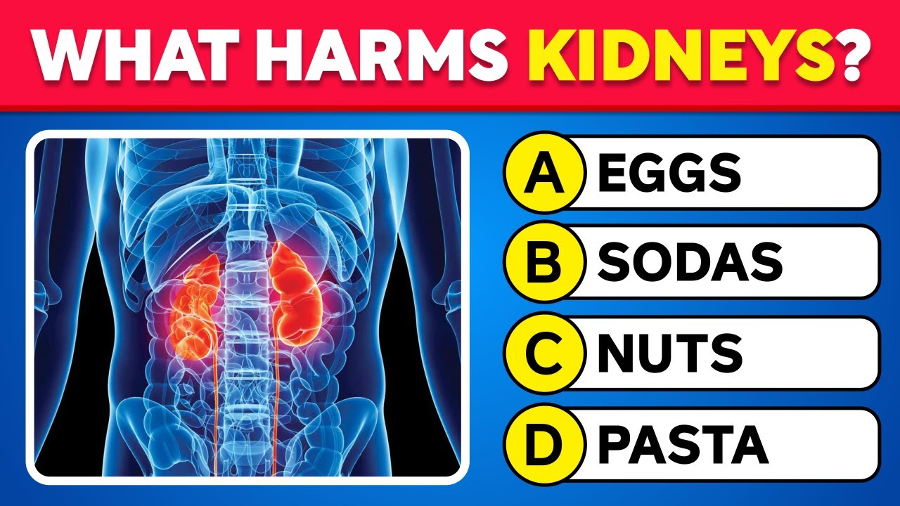Can You Pass This Human Body Quiz? 🧠 Take This 35-Question Anatomy Quiz! 📚