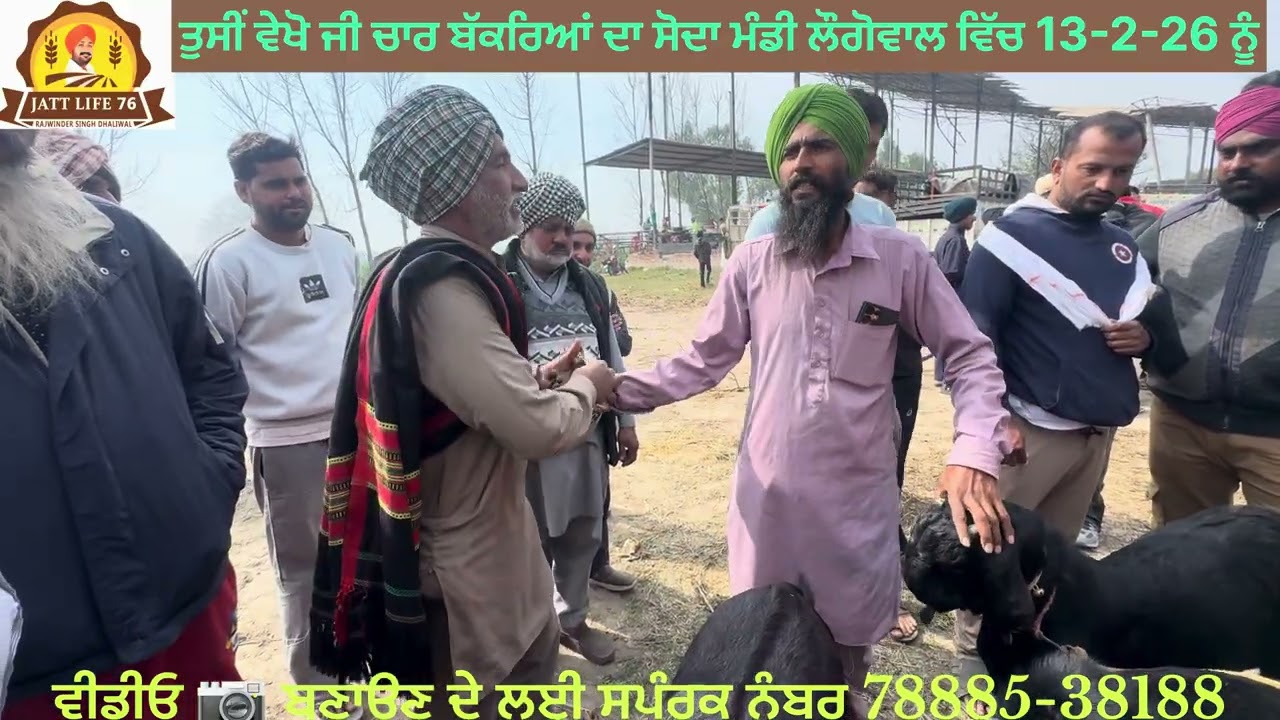  ਲੌਗੋਵਾਲ ਬੱਕਰੀ ਮੰਡੀ ਵਿੱਚ ਵੇਖੋ ਜੀ ਤੁਸੀਂ ਚਾਰ ਬੱਕਰਿਆਂ ਦਾ ਇਕੱਠਾ ਸੋਦਾ ਰਾਜੂ ਨੇ ਕਰਵਾਇਆ ਸੋਦਾ ਵੇਖੋ ਵੀਡੀਓ 📹👍