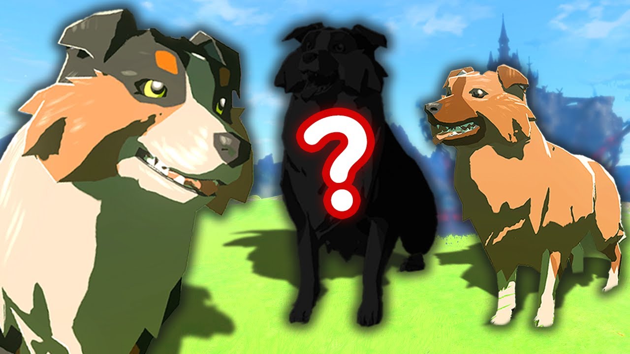 What is the Rarest Dog in Hyrule?