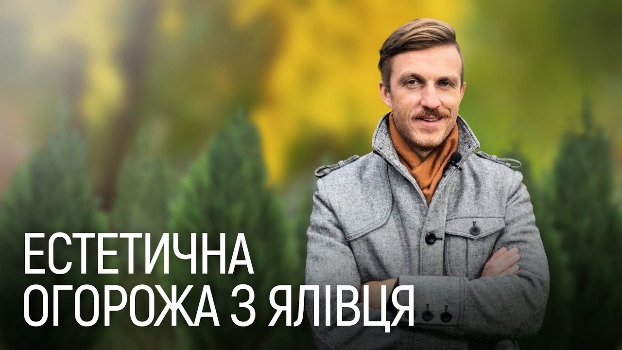 ЛАНДШАФТНИЙ ДИЗАЙН | ЖИВА ОГОРОЖА. ХОВАЄМО ПАРКАН ЗА РОСЛИНАМИ